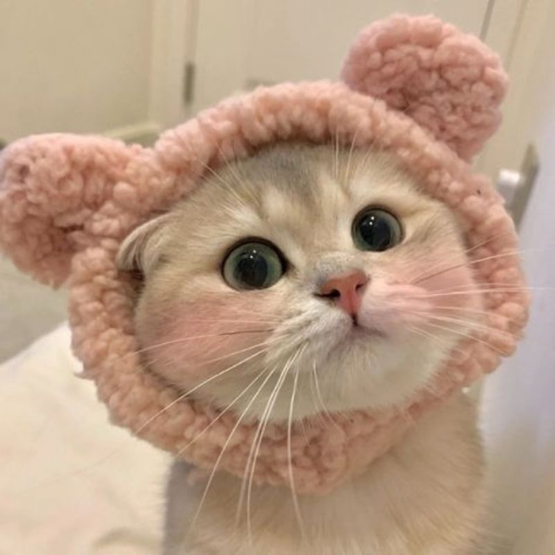 mô tả hệ thống